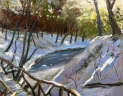 Eerste sneeuw in Elswout