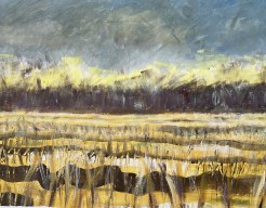 Voorstudie landschap 