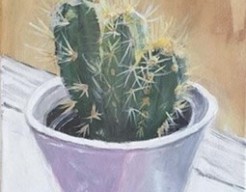 Cactus die gered moest worden
