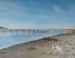 104. Mantelmeeuw aan het jutten 