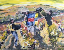 Wijngebergte zuid Frankrijk