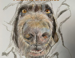 Draadhaar breekt door