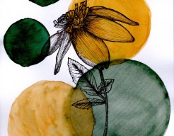 Herfst 1 anemoon dahlia