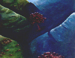 Grens tussen 2 bergen