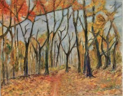 Herfst - Impressie Drouwenerzand (13)