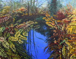 Herfst in het Thijsse park IV