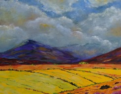 Gezicht op Wild Nephin National Park