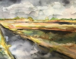 Graan landschap Velden 