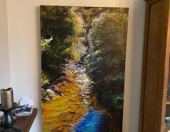 Riviertje bij Orlu (Pyreneeën)