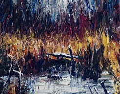 Koning winter in de Biesbosch 