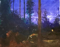 Winterkamperen op de Veluwe