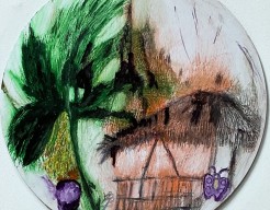 Morning sun in the tropics 