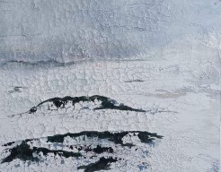 ‘Nova Zembla’ Ode aan Louis Apol