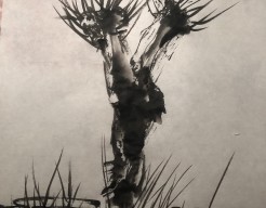 Knotwilg in sumi-e