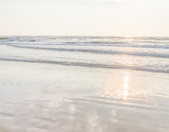 Zon, zee, zen - fotografie