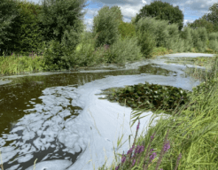 Kunstzinnige Reeuwijkse Plassen