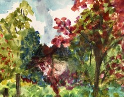 Doorkijkzicht over de koolvelden ( boederij land aan Gein)