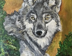 Geliefd of niet: de wolf