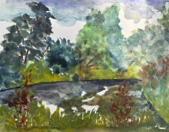 Langs riviertje Gein oever 