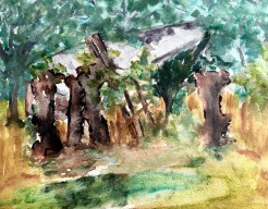 Geknot knotwilgen met achtergelegen hout opslag 