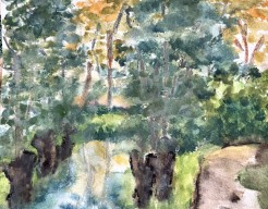 Knotwilgen/ waterpoel eiland langs riviertje Gein 