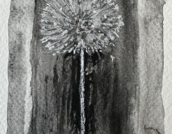 Paardenbloem - project 