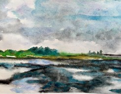 Droogvallend wad Terschelling 