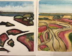 Het groene strand Terschelling boven aanzicht ( abstract) 