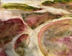 Het groene strand Terschelling ( boven aanzicht) 