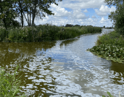 Een prachtige zomerse dag op de Reeuwijkse Plassen
