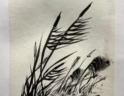 Sumi-e- riet wuivend in de wind