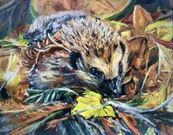 Little Forager’s Sanctuary