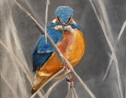 Deel 2 van “drieluik” ijsvogel.