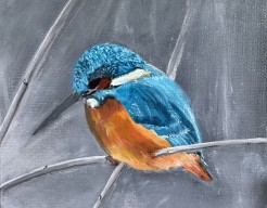 Deel 1 van “drieluik” IJsvogel