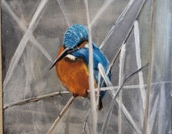 Deel 3 van “drieluik” ijsvogel