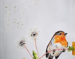 Robin...Dandelion