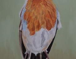 Giant robin What are you looking at