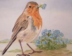 Giant robin "Forgot-me-not"