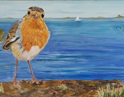 Giant robin "robin in Friesland