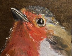 Project roodborst "Head up