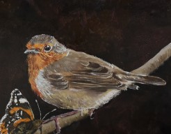 Project roodborst "Robin and the butterfly