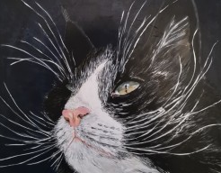 Guus, I'm the man in house