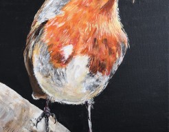 Robin shopping for the kids