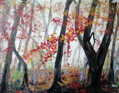 Herfst in het Boeschoterbos