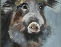 Cinghiale