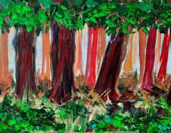 Licht tussen de bomen 