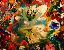 "Florale Symfonie in Kleur"