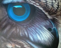 The nature of perception (4)