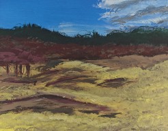 Het Bergse duingebied