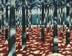 Het Spel van Bomen en Licht